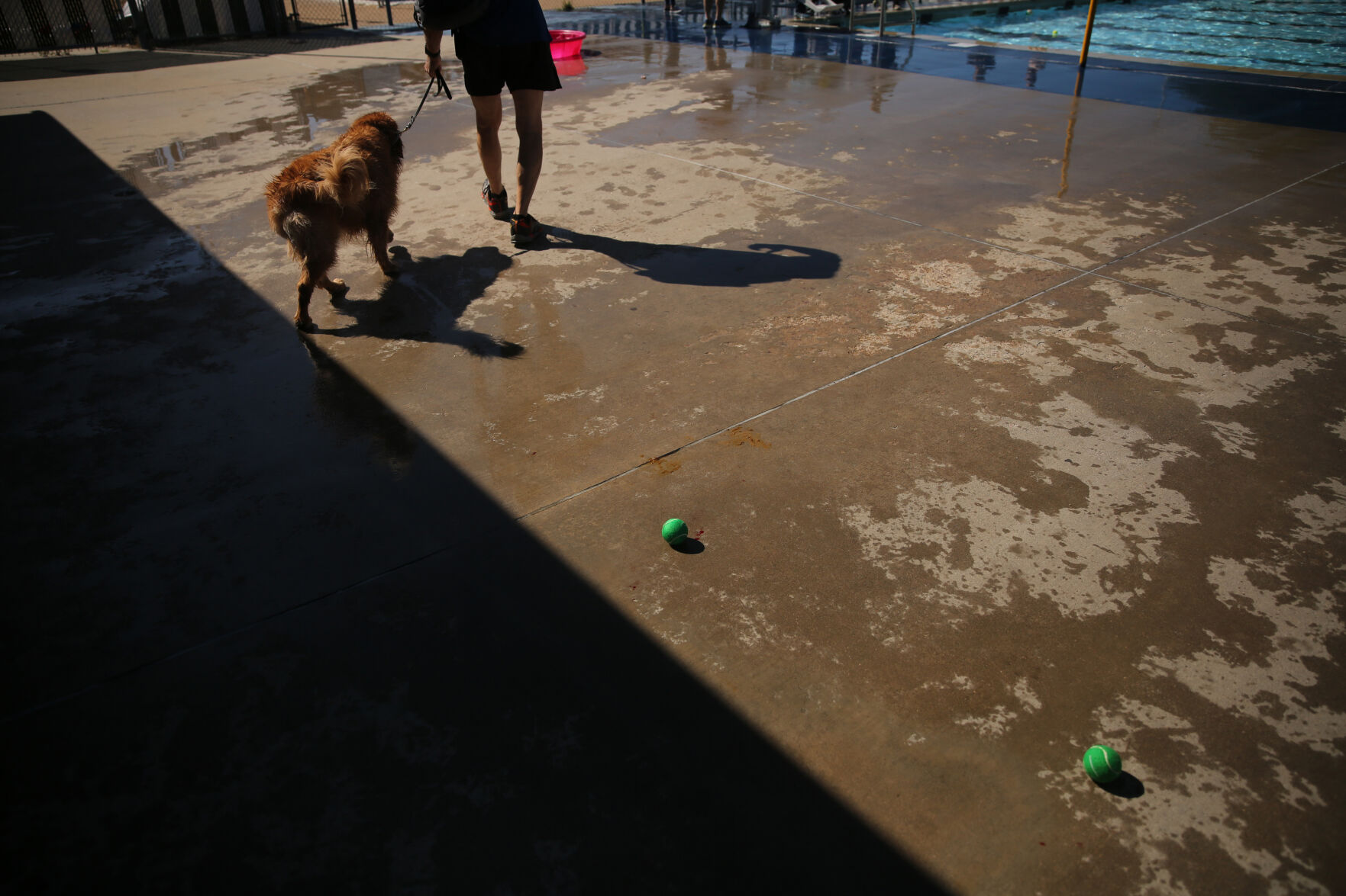 091320-news-dogsplash 23.jpg